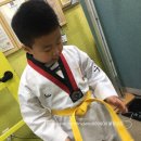 수유태권도