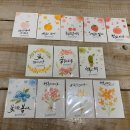 일러스트 캘리그라피 이미지