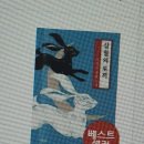 삼월의토끼 이미지