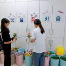 선운초등학교 이미지