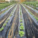 재천농장 이미지