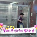꽃돼지분식 - 춘천시 방송길 34 | 꽃돼지분식