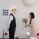 푸린 | 웨딩촬영 드레스 추천/플로뉴 푸린드레스 착용 후기