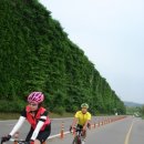 삼거리 설리진인커피 | 2012.05.28 분원리.