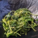 갈평농장 | 고덕동맛집) 집밥만큼 너무 맛있는 평택고덕 다온백반