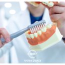 가지런이치과 네이버블로그