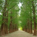 청평역관광안내소 이미지