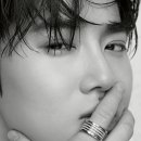 수&호