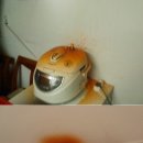 오기떡볶이 이미지