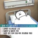 경보축산 | 제주도 3편 - 나 이제 돌아갈래 집으로 (탐라밥상 사려니숲길 제주마방목지 제주동문시장)