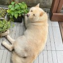 파도길 65 이미지