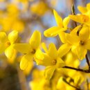 스마트폰활용과 사진촬영 이미지