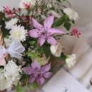 연플레르 네이버블로그