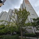 향동로+향기로 이미지