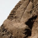 선사고등학교 이미지