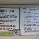 흥수식당 이미지