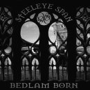 I See His Blood Upon The Rose - Steeleye Span 이미지