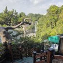 폭포 | 제주도 서귀포 가볼만한 곳 정방폭포 후기