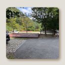 별빛야영장 | 무주 향로산 자연휴양림 캠핑장(별빛하루 야영장) 이용 후기