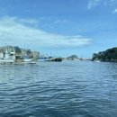 새물목장 이미지