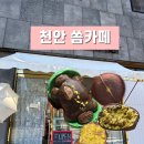 더쏨 | 천안 쏨카페 두바이 마카롱 맛집 두쫀쿠 내돈내산 솔직후기