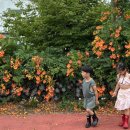 범준목장 이미지