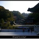 구인사(식당3) - 36670 | 구인사(식당3)
