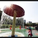 38℃ 이미지
