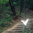 산따라 물따라 이미지