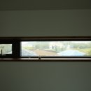 하도하도 3200 이미지