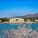 세븐일레븐보문점 이미지