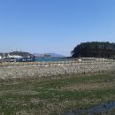 몽돌회