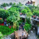 거제식물원 이미지