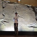 울산암각화박물관 이미지