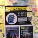 거북이게임장 이미지