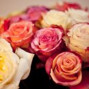 품 동물병원 이미지