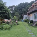 빨강버섯 스머프 이미지