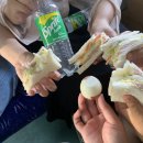 한솥도시락 보성점 | 목이 다 쉬어버린 여행🔥-보성(엄마의정원 숙소후기)