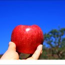 사과밭스테이 이미지