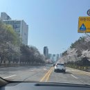 이동정문약국 이미지