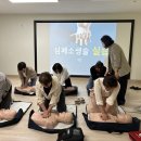 충주남산유치원 충북일보