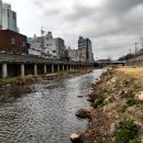 학장천 강변갤러리 이미지