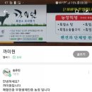 까미원 이미지