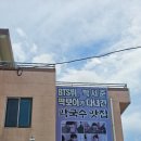 송지호 | BTS 뷔, 박서준도 다녀간 강원도 고성 맛집 [송지호 막국수] 내돈내산 솔직 후기!