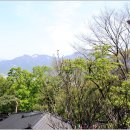 성불사길 이미지