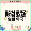365열린약국 | 울산시 울주군 언양읍 365일 열린 약국