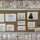 시골미용실 동네파마 후기 충주 히피펌 용산동 헤세드헤어 가격