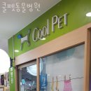 가양쿨펫동물병원 이미지