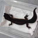 원주브리딩 이미지