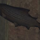 크리드 샷 이미지